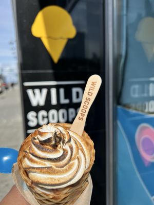 Wild Scoops by null