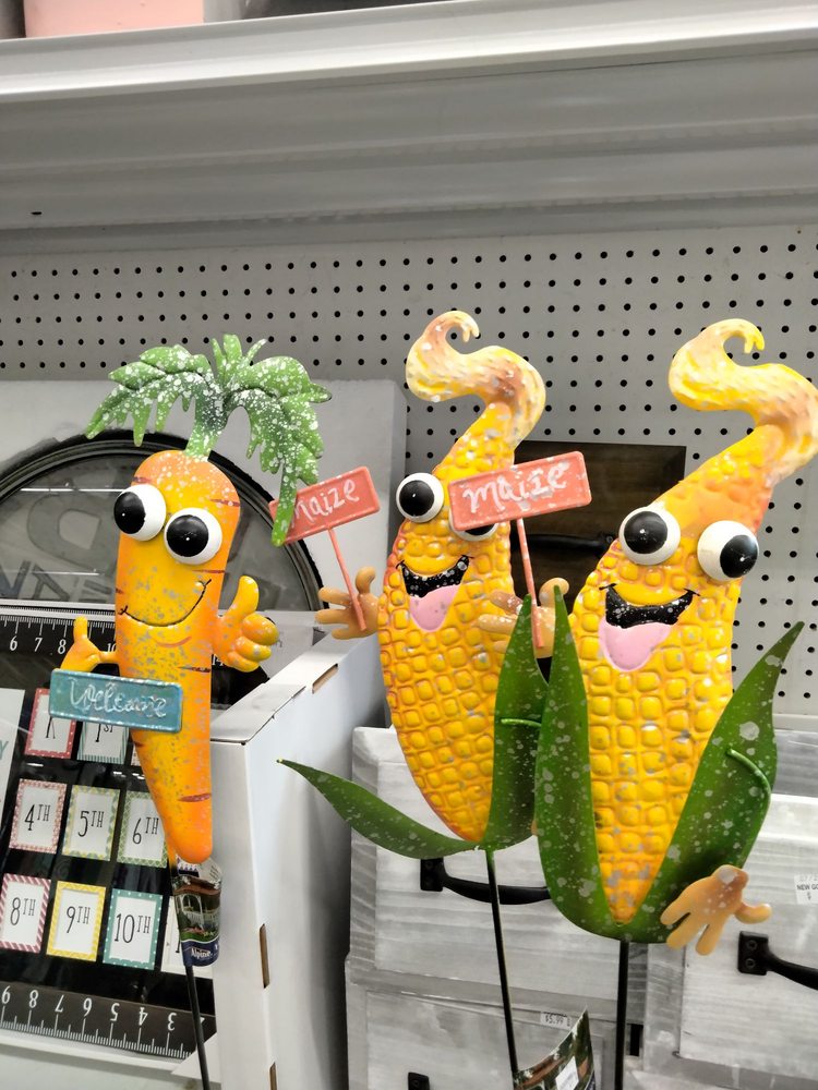 GOODWILL RENO SACRAMENTO VALLEY & NORTHERN NEVADA 5000 Smithridge Dr, Reno, Nevada Used