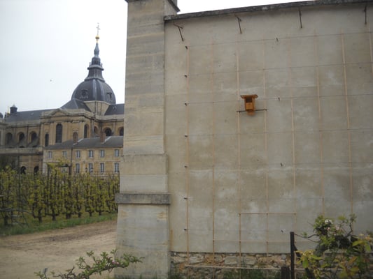 Potager du Roi by null