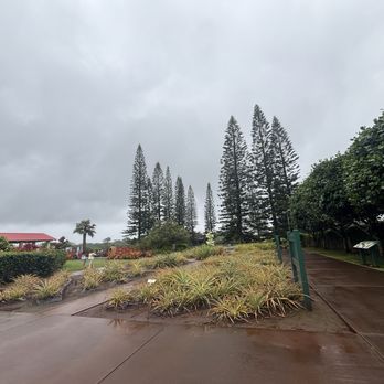 Dole Plantation - Tours Near Me - Wahiawa, Hawaii Dole Plantation - Tours Near Me - Wahiawa, Hawaii