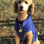 Churchville Veterinary Clinic