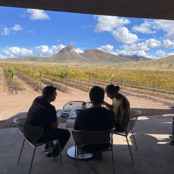 Los Milics Vineyards - Wine Tasting Room Near Me - Elgin, Arizona