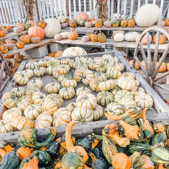 Cider Hill Farm - Pick Your Own Farms Near Me - Amesbury, Massachusetts