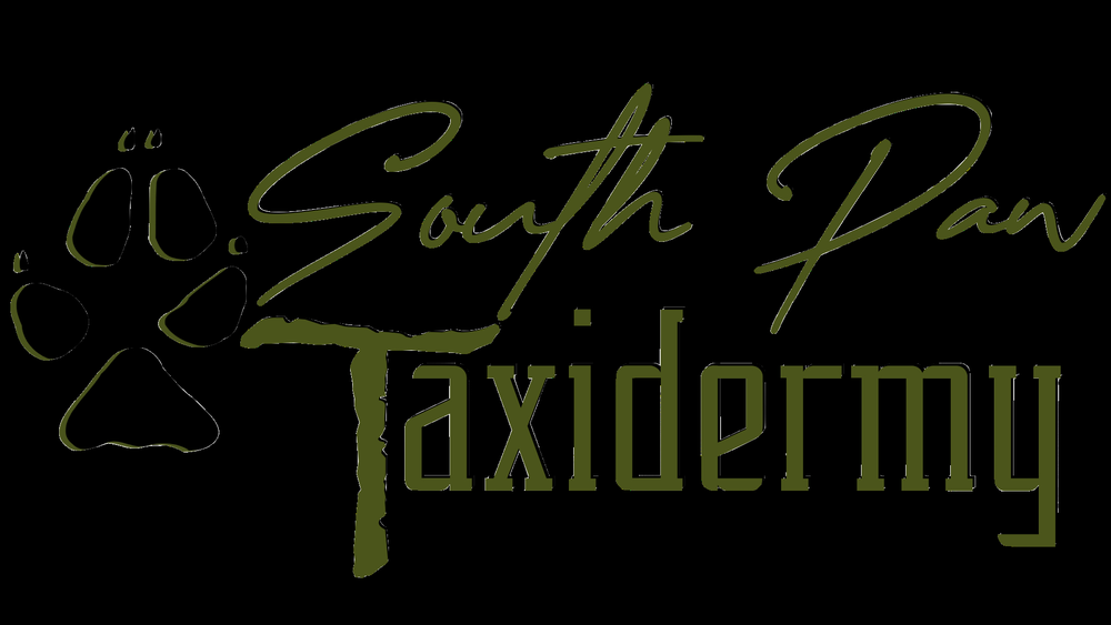 Southpaw Taxidermy - taxidermy in Corvallis, OR