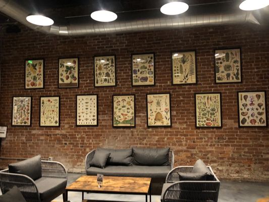 Burlington Beer Company by null