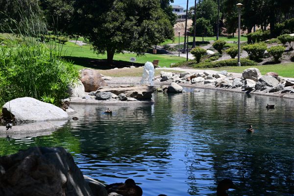 EISENHOWER PARK AND LAKE - 405 Photos & 102 Reviews - 2864 N Tustin St