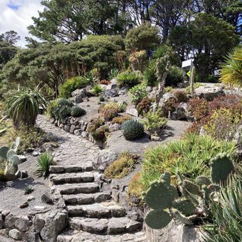 Wellington Botanical Gardens - Succulent Garden - Botanical Gardens Near Me - Wellington, WGN