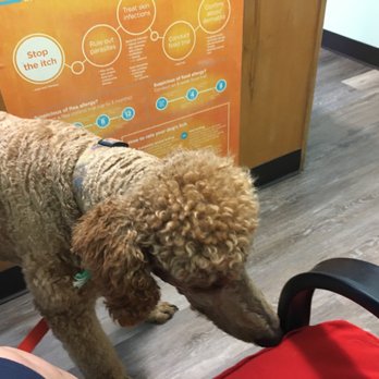 1. Plains Veterinary Hospital