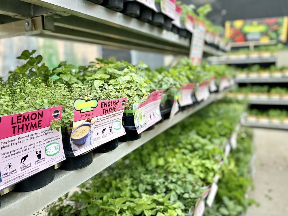 THE HOME DEPOT Updated October 2024 49 Photos & 20 Reviews 804 E