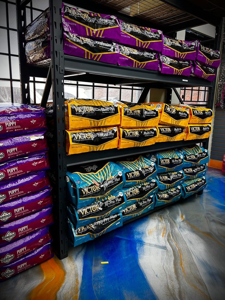 STEADY’S Updated August 2024 Request Information 4711 W