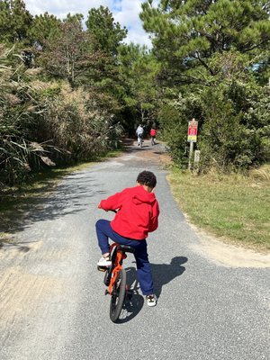 Cape Henlopen State Park by null