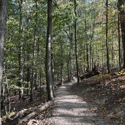 West Creek Reservation - Oak Ridge Trail