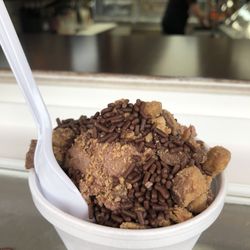 American Creamery - Chocolate peanut butter ice cream with sprinkles and Reese's YUM