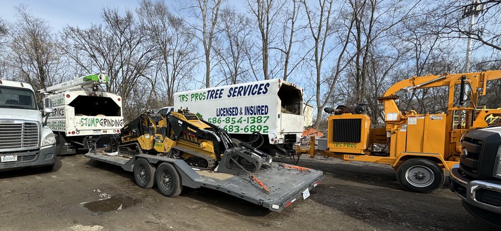 TRS Pros Tree Services - tree service in Sterling Heights, MI