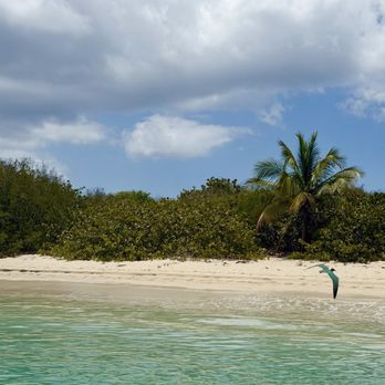 Sail Getaways - Snorkeling Near Me - Fajardo, Puerto Rico Sail Getaways - Snorkeling Near Me - Fajardo, Puerto Rico