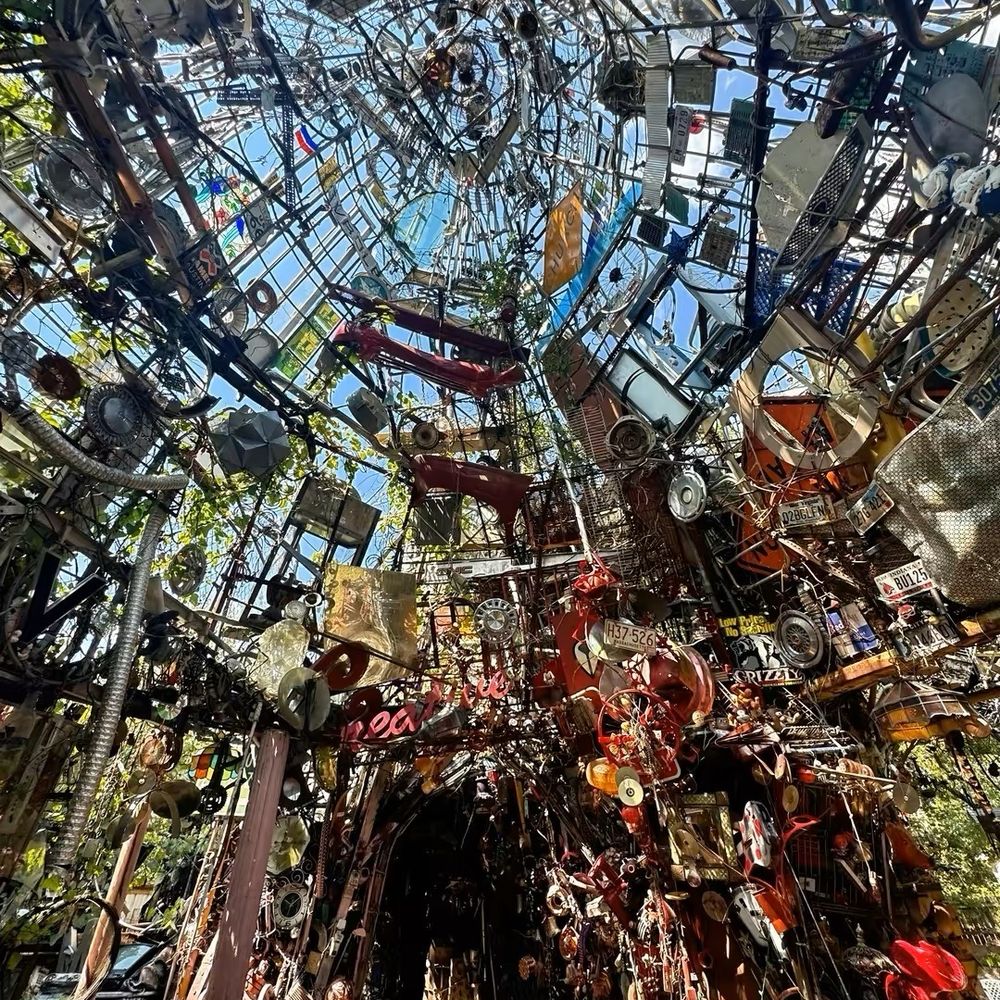 Looking up