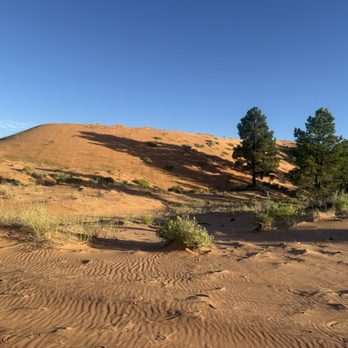 Coral Pink ATV Tours - ATV Rentals/Tours Near Me - Kanab, Utah