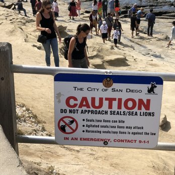 La Jolla Cove - Stupid people come within 1 foot of the sea lions for that perfect pic. #cantfixstupid - Parks Near Me - La Jolla, California