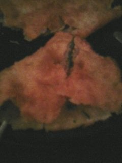 Jibek Jolu by null Jibek Jolu by null