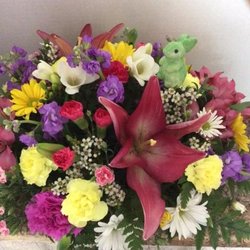 Floral Array - Spring Delight