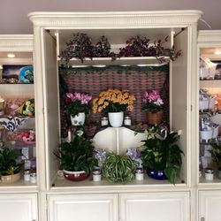 Curly Willow Custom Floral Design