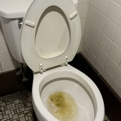 Dead Presidents Pub & Restaurant - Toilet handle wouldn't flush. Only bathroom available as the other was totally out of order.
