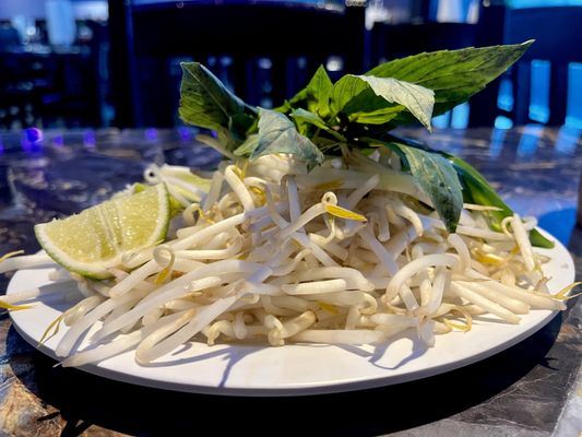Sidestreet Pho & Grill by null