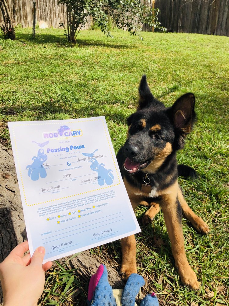 ROB CARY PET RESORT 12 Photos & 48 Reviews Pet Training 14824