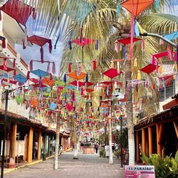 Carelsy Tours - Main Street in downtown Zihuatanejo