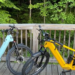 WW Bikes - Step-thru and High-step ebikes available to rent.