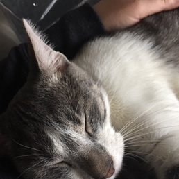 Sleeping in my arms