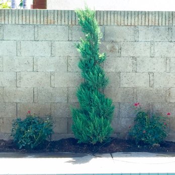 Moon Valley Nurseries - Tree Services Near Me - Chino, California Moon Valley Nurseries - Tree Services Near Me - Chino, California