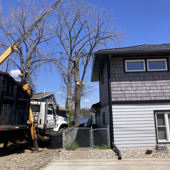 Wright Way Tree - Tree Services Near Me