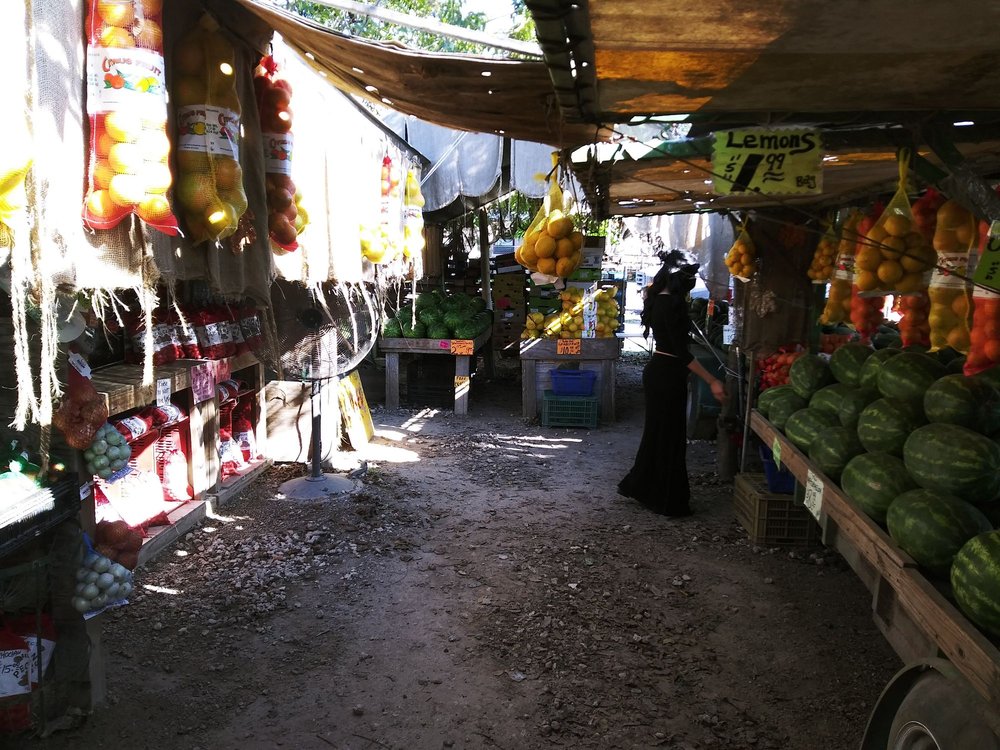 DRISCOLL FRUIT STAND Updated September 2024 Hwy 77 And E Ave C