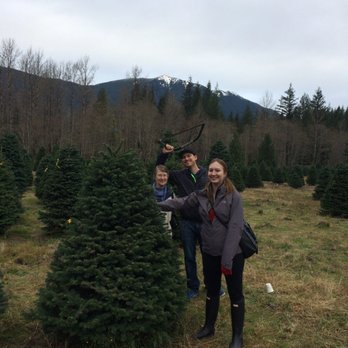 Christmas Creek Tree Farm - We had a wonderful time picking out our tree! Loved the free cider and we bought some cookies too. - Christmas Trees Near Me - North Bend, Washington