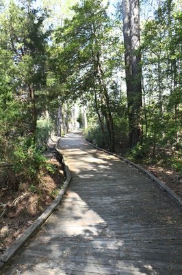 Belle Isle State Park by null