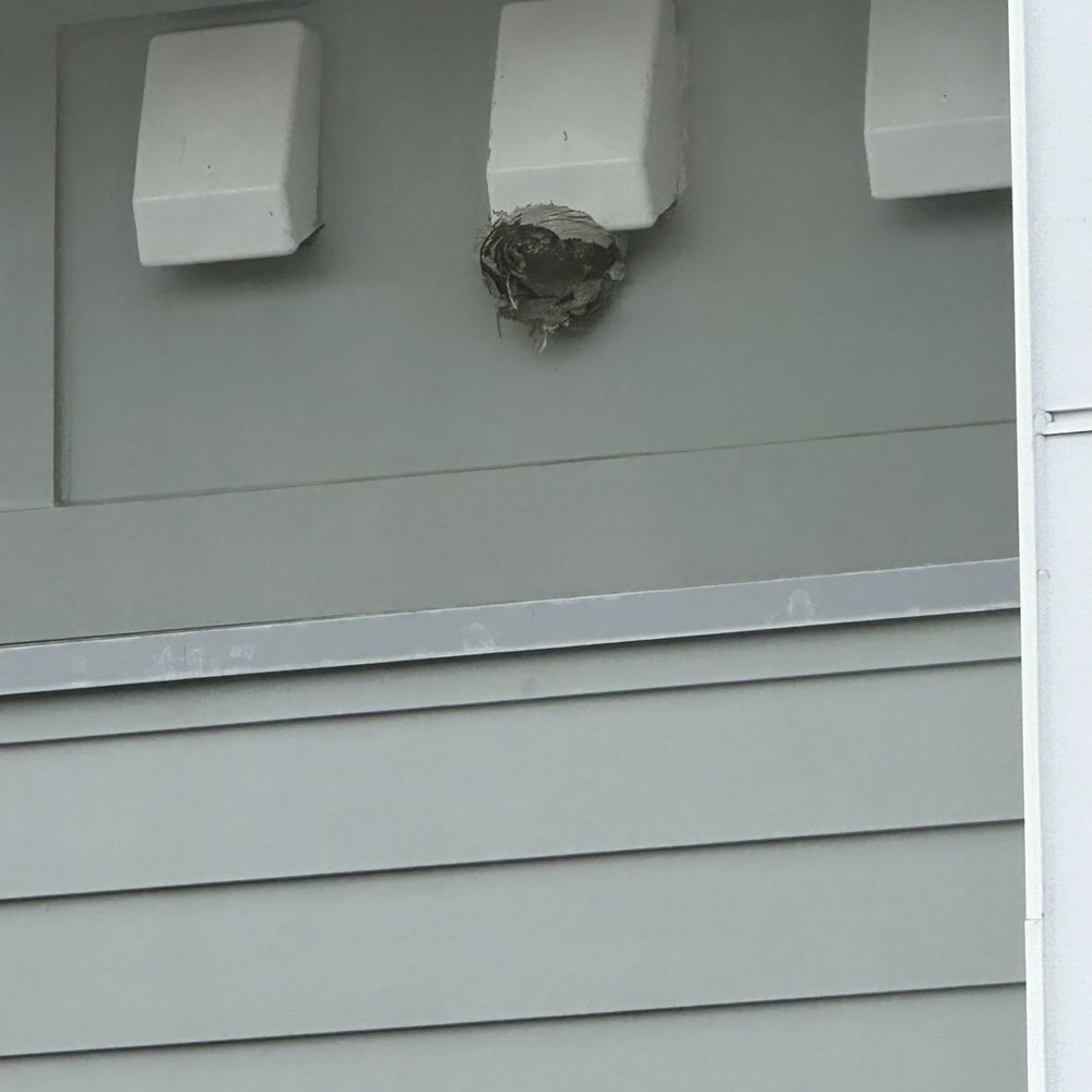 Bugnation - Pest Control Near Me - Shoreline, Washington Bugnation - Pest Control Near Me - Shoreline, Washington