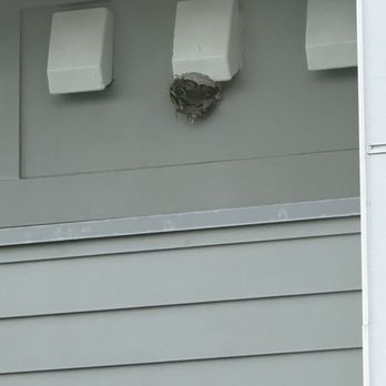 Bugnation - Pest Control Near Me - Shoreline, Washington