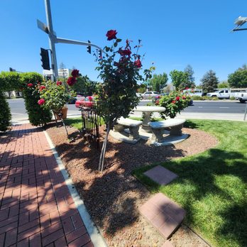Common Heart - Coffee & Tea Near Me - Visalia, California