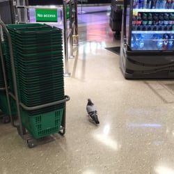 Woolworths