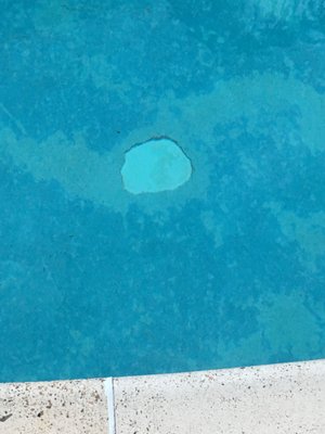 Everic Pool Plastering