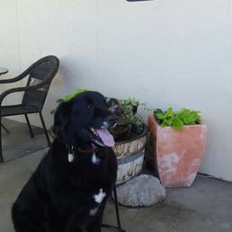 Outside Outside