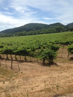 Getaway Adventures/Wine Country Bikes by null