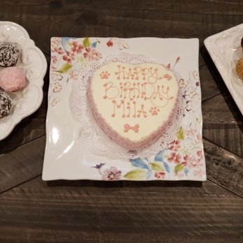 The Dog Bakery - Mila's bd cake - Pet Stores Near Me - Pasadena, California The Dog Bakery - Mila's bd cake - Pet Stores Near Me - Pasadena, California