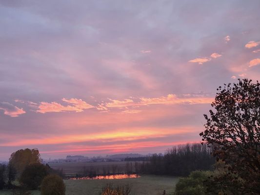 David D Hunter, Consulting Arborist