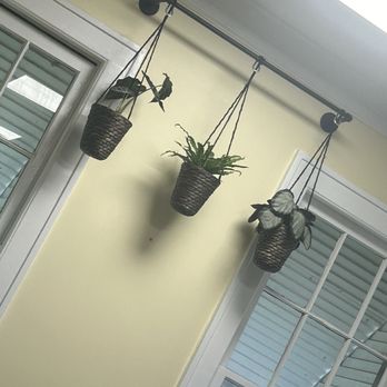 HoneySuckle Cafe - Another awesome plant holder. - Salad Near Me - Norfolk, Virginia HoneySuckle Cafe - Another awesome plant holder. - Salad Near Me - Norfolk, Virginia