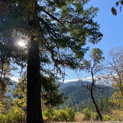 Cathedral Hills Trails