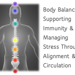 NoVa Spine and Wellness
