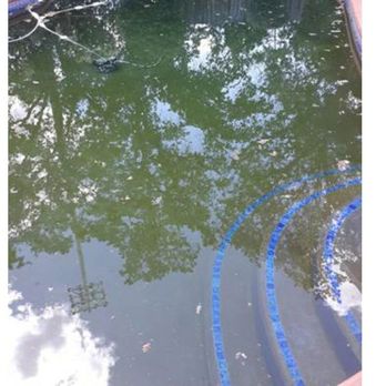 Splash Pool Care - Needed pool to be vacuumed - Pool & Hot Tub Service Near Me - Roseville, California