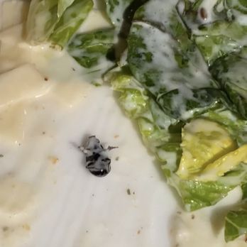 Applebee's Grill + Bar - Caesar Salad - Sports Bars Near Me - Petaluma, California